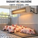 Radiant IRC inox tube halogène 1500W orientable elevage porc