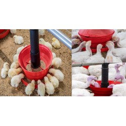 ligne alimentation mangeoire CS-45 complète leroy volailles