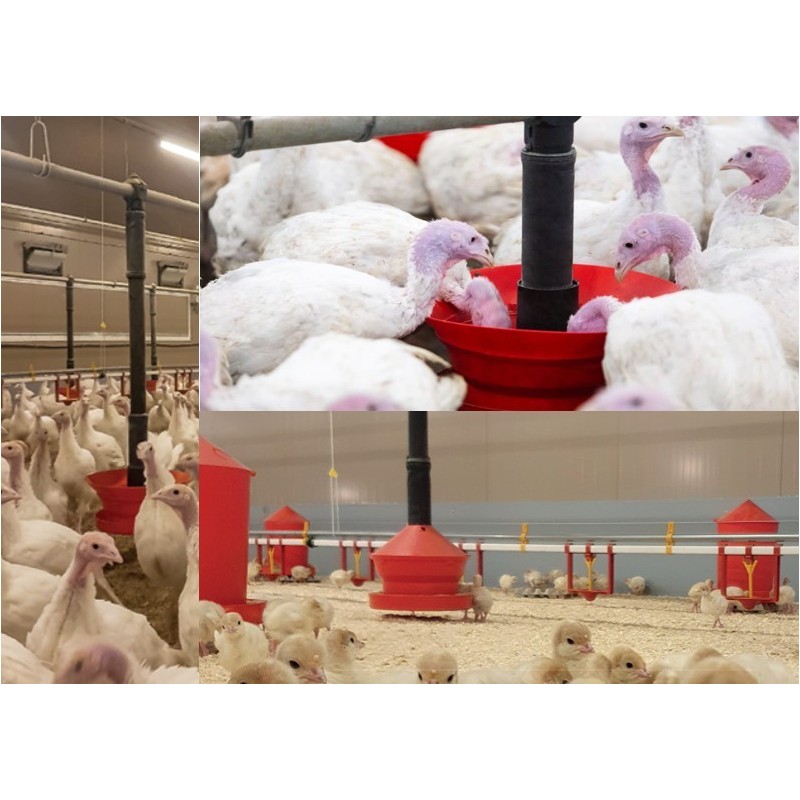 ligne alimentation mangeoire CS-120 complète couvercle leroy volailles