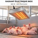 radiant résistances inox 600w chauffage porc