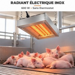 radiant résistances inox 600w chauffage porc