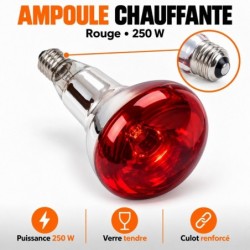 Lampe chauffante rouge 250 W pour elevage