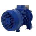 Pompe à liquide EBARA DWO 200