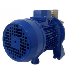 Pompe à liquide EBARA DWO 200