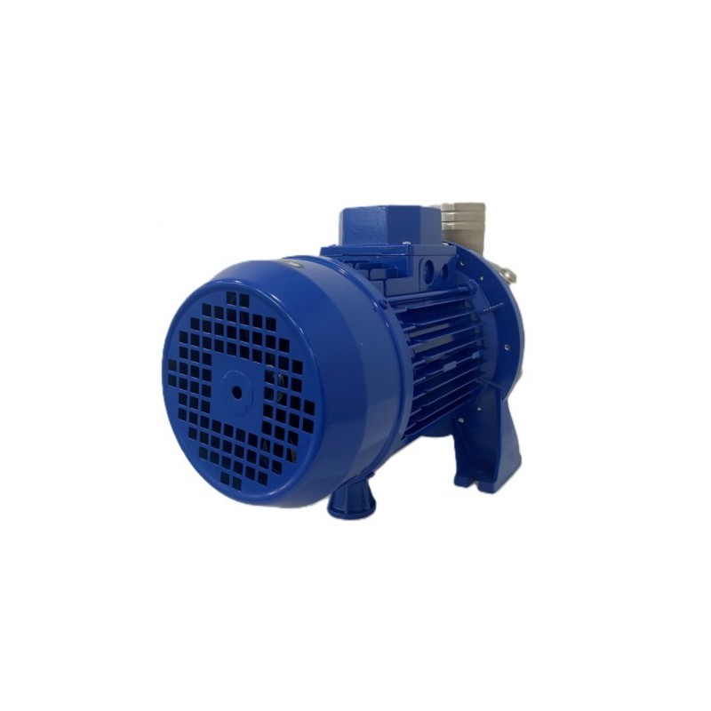 Pompe à liquide EBARA DWO 200 Pompe à liquide EBARA DWO 200