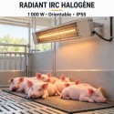 Radiant IRC inox tube halogène 1000W orientable elevage porc