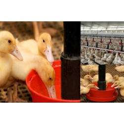 ligne alimentation mangeoire CS-45 complète couvercle leroy volailles