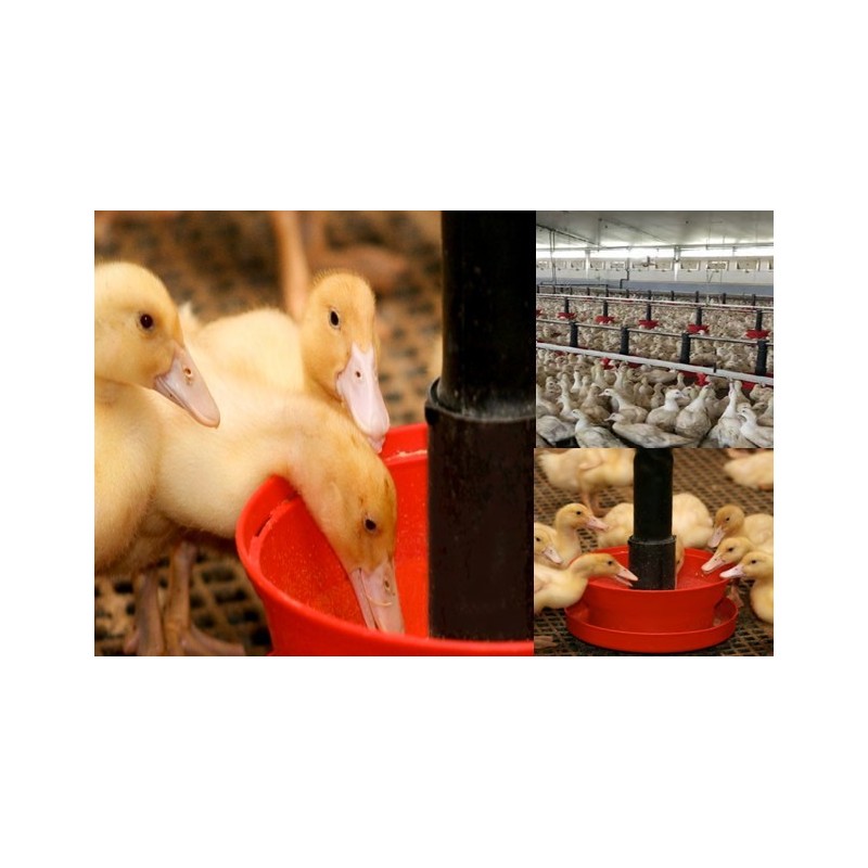 ligne alimentation mangeoire CS-45 complète couvercle leroy volailles