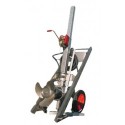 Chariot agitateur lisier complet 3kw