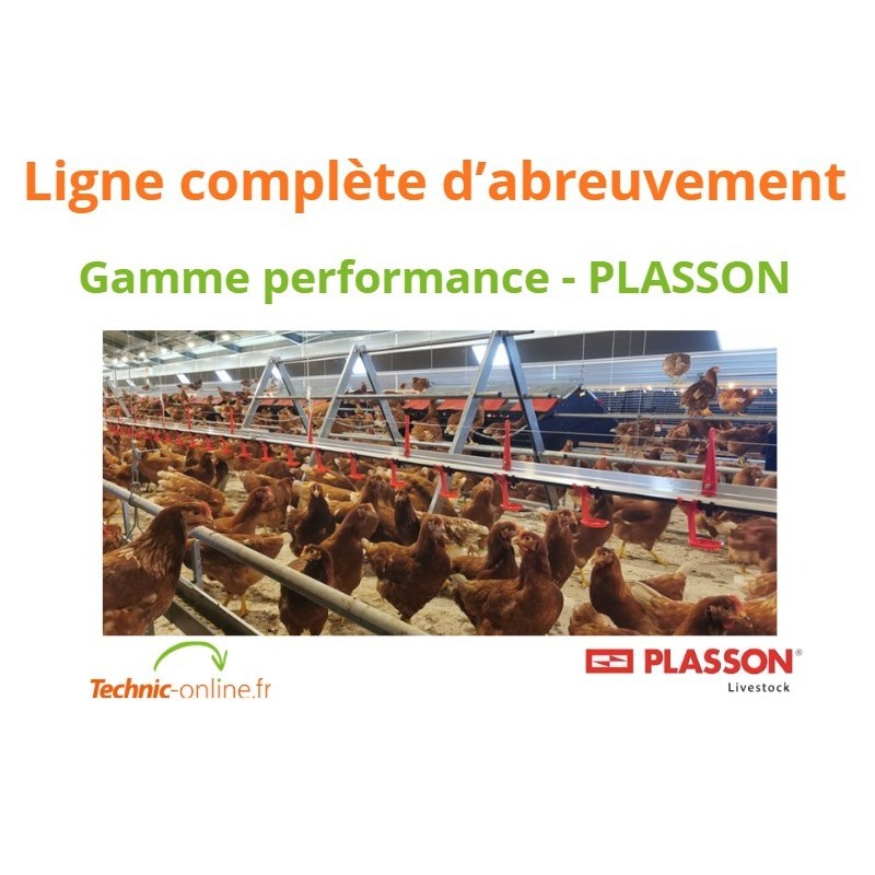Ligne complète d'abreuvement repro pondeuses