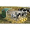 Niche pour veau Agribox 3