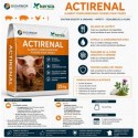 Aliment complémentaire ACTIRENAL Kersia 25KG