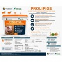 Aliment complémentaire PROLIPIGS Kersia - 10KG