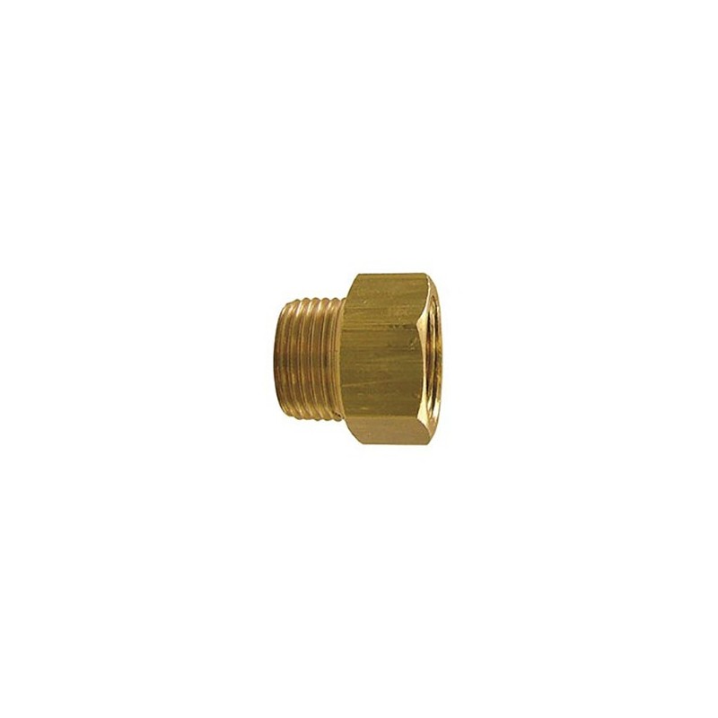 Mamelon egal laiton male/fem 2'' elevage