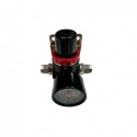 regulateur pression 0-10 bars 1/4''