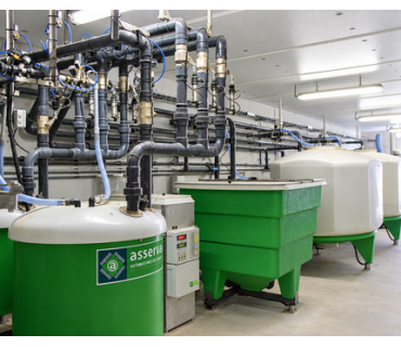 Distribution et alimentation soupe pour porcs, truies | Technic-Online