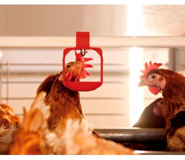Abreuvoir pour poules et volailles | Matériel élevage Technic-Online