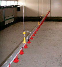 montage ligne eau lubing pipette volaille poules