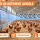Comment Refroidir son Bâtiment Avicole ? Solutions & Guide | Technic-Online 
