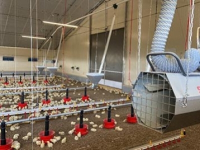 Nos conseils pour le chauffage des bâtiments d’élevage avicoles