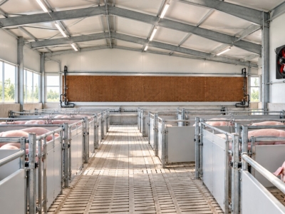 Ventilation porcherie : bien choisir turbines et ventilateurs 