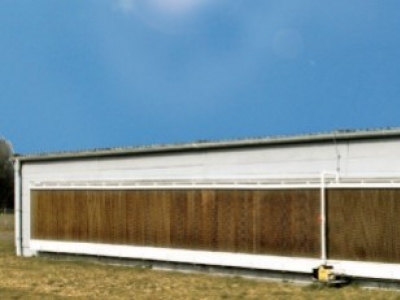 Pourquoi refroidir les porcheries ? Et quelles solutions choisir ?